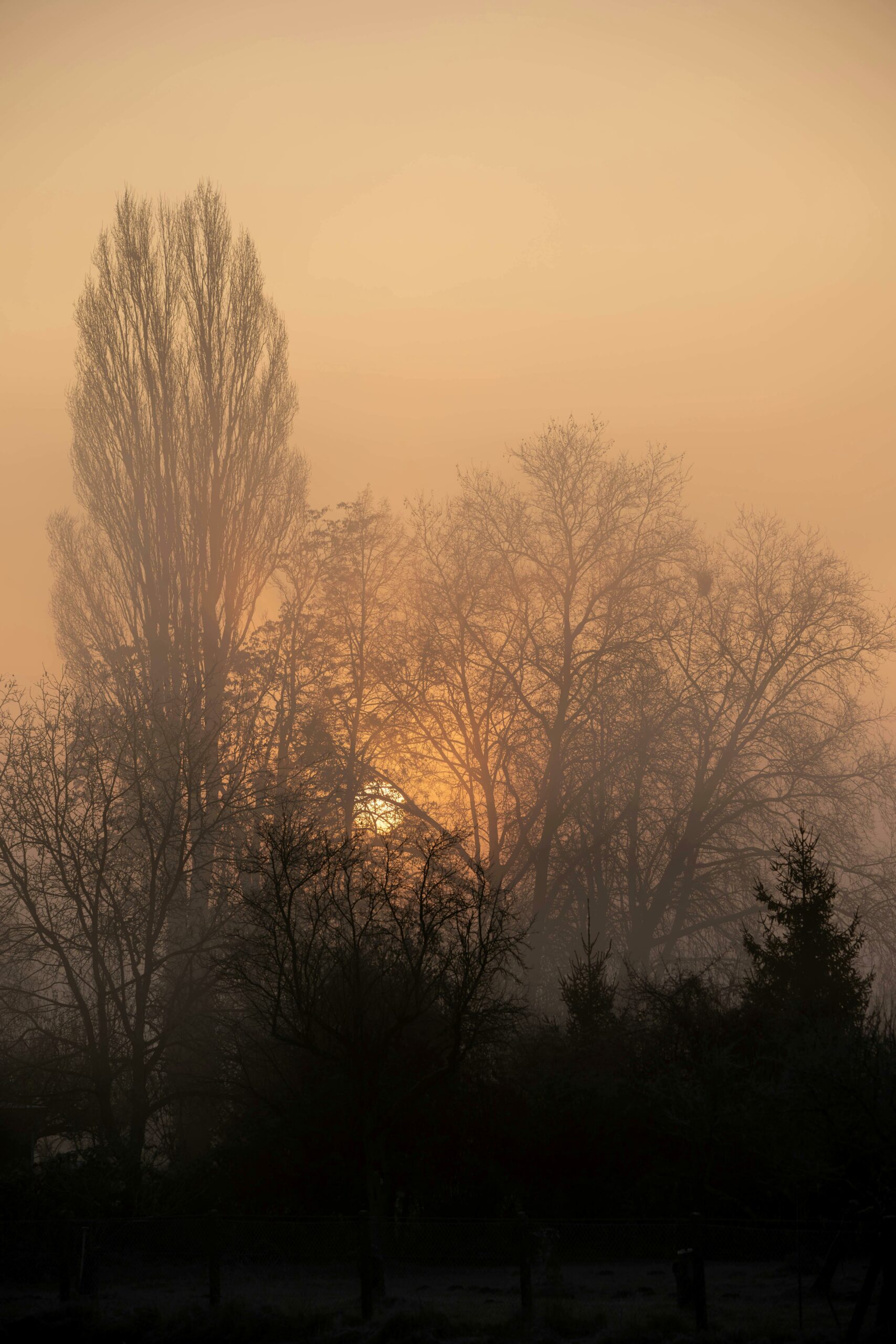Blaue Stunde
